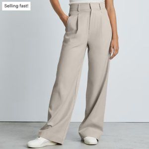 Everlane The Way-High Drape Pant